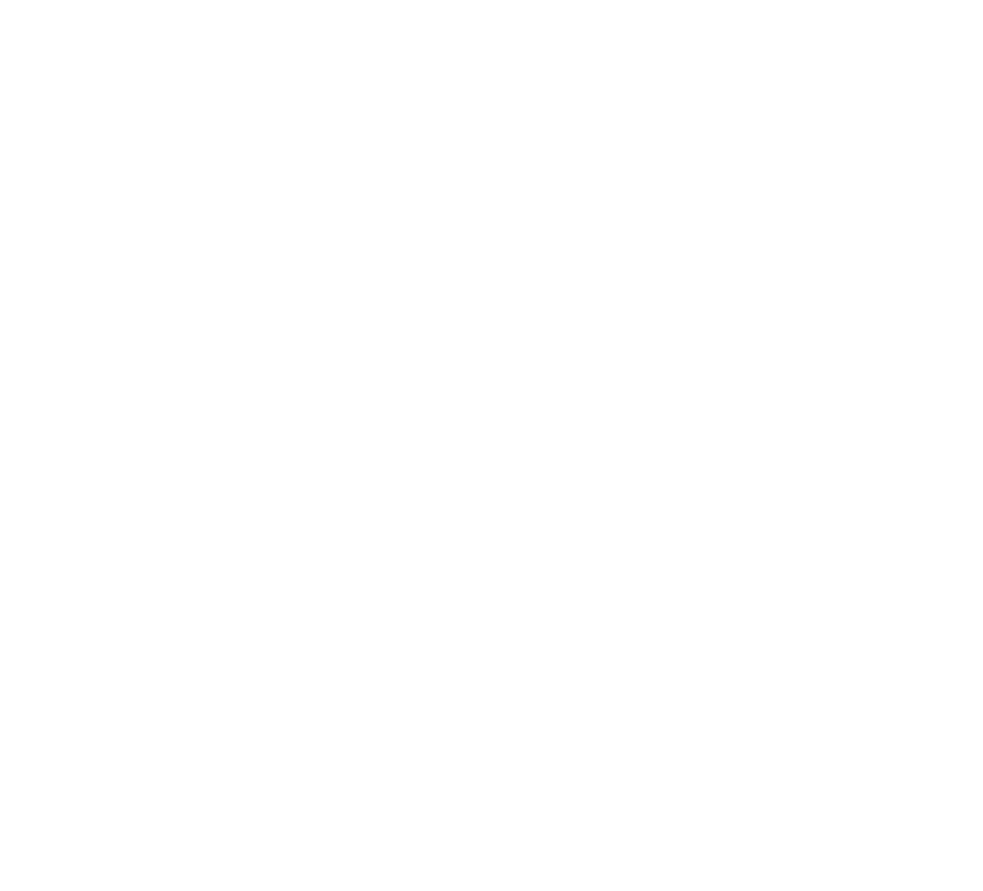 ALM Developers Logo